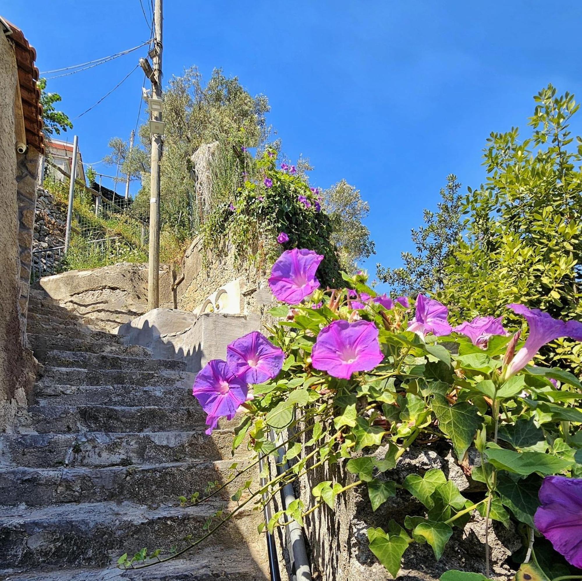 Villa Ines Maiori Extérieur photo